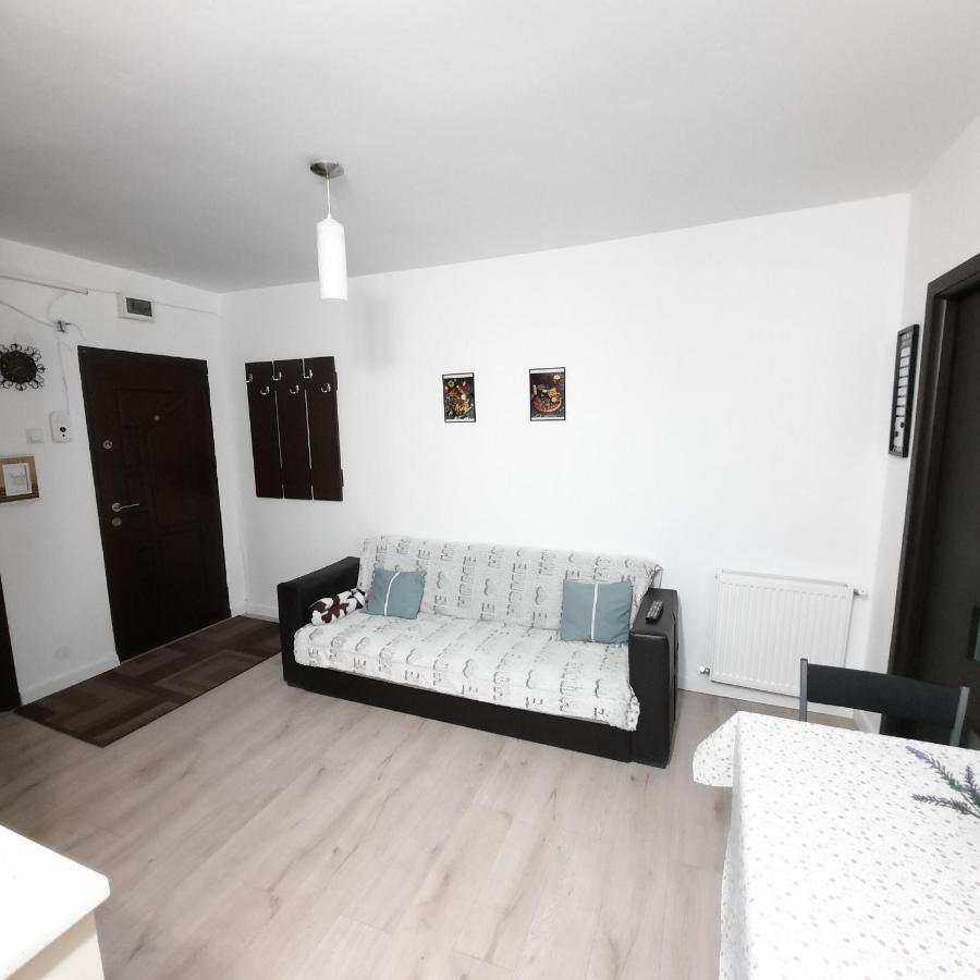 Apartament Kepa Din Piatra Neamţ Exterior foto